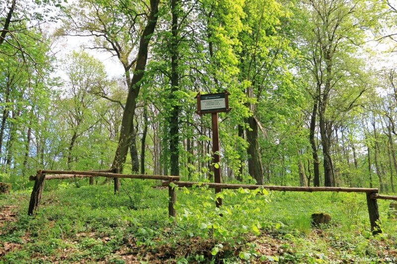 Stary cmentarz ewangelicki