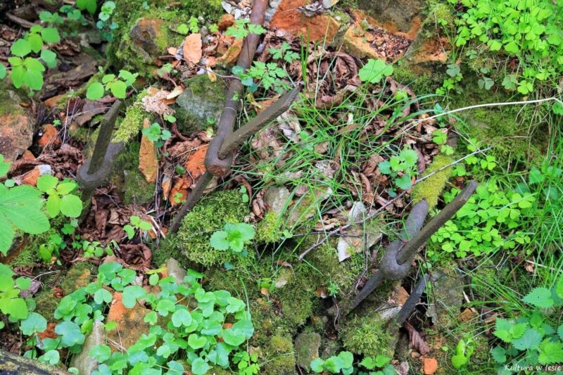 Ruiny młyna Bäcker Mühle