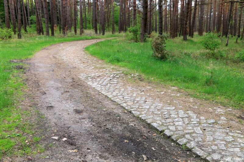 Pliszka poniżej Poźrzadła, ruiny młyna Gołębin