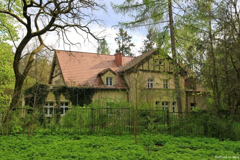 Pliszka poniżej Poźrzadła, nieistniejąca osada młyńska Zamęt