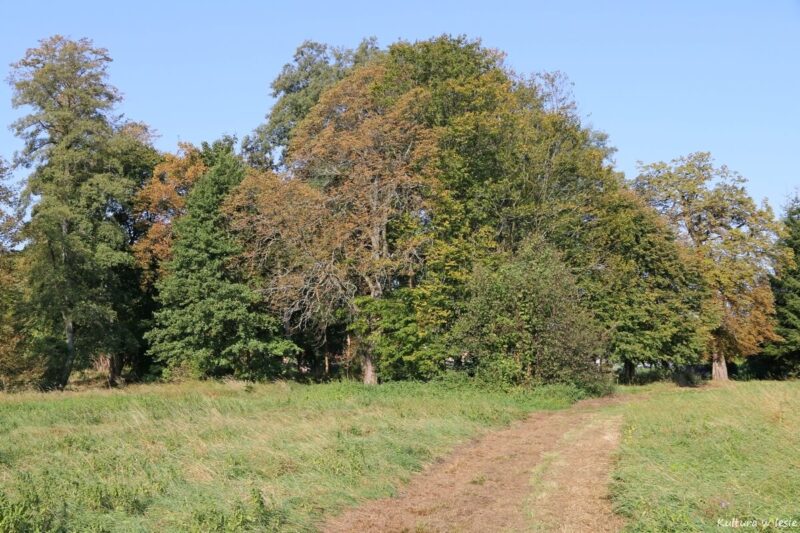 Grobowiec barona Blankenburga