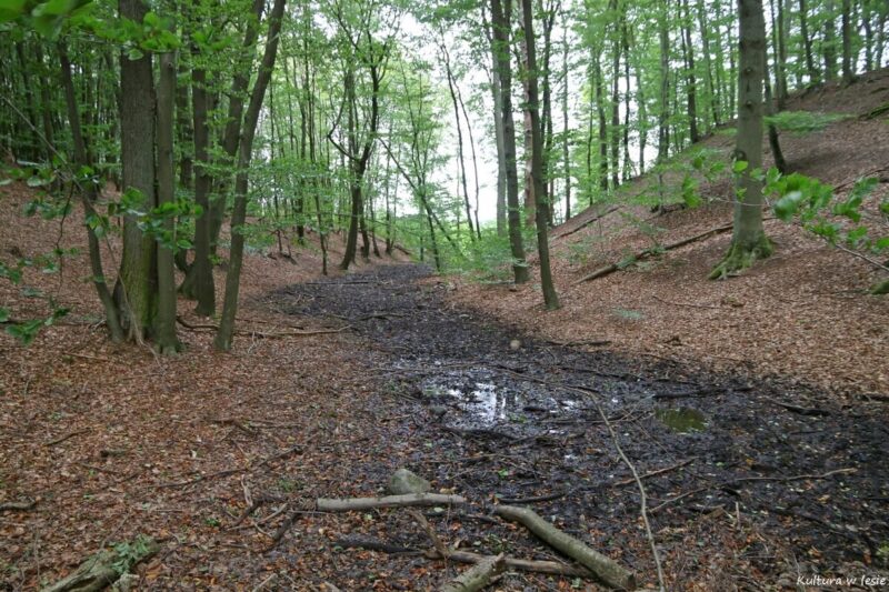 Grodzisko nad jeziorem Bytyń Wielki