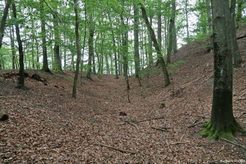 Grodzisko nad jeziorem Bytyń Wielki