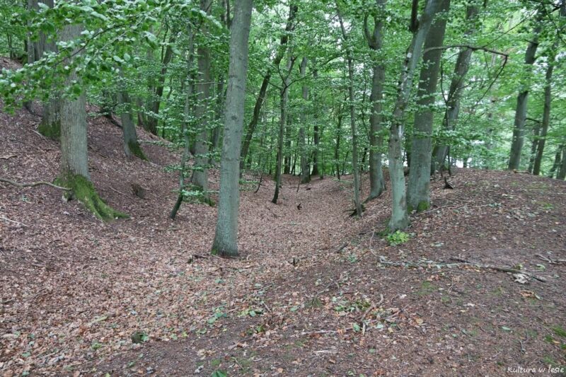 Grodzisko nad jeziorem Bytyń Wielki