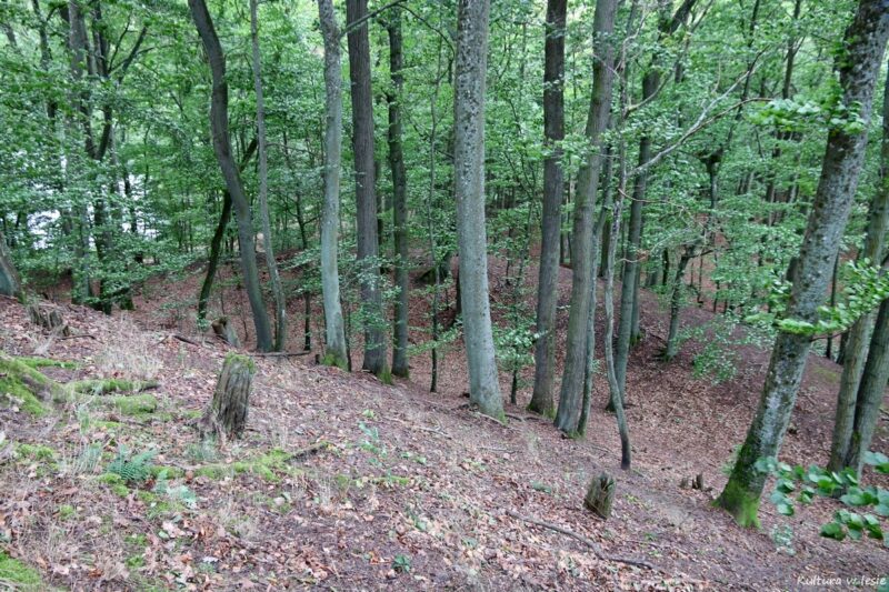 Grodzisko nad jeziorem Bytyń Wielki