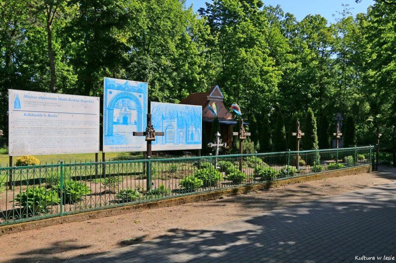 Ogólny widok cmentarza