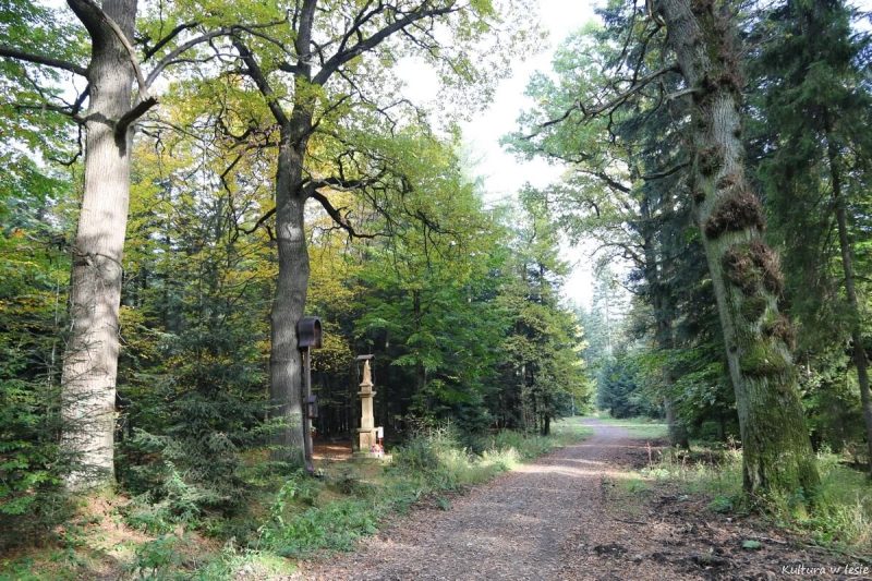 Krzyż i figura Matki Bożej Bolesnej