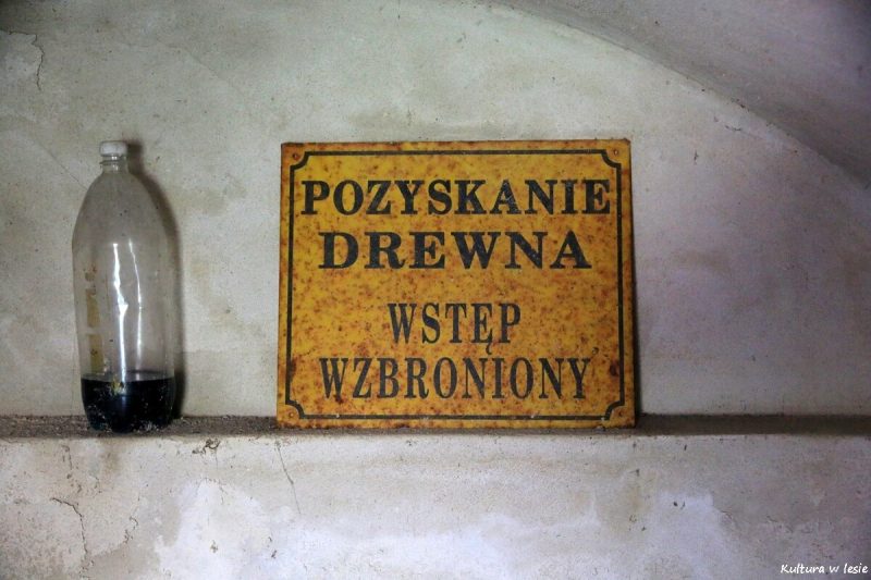 Piwnica przy gajówce