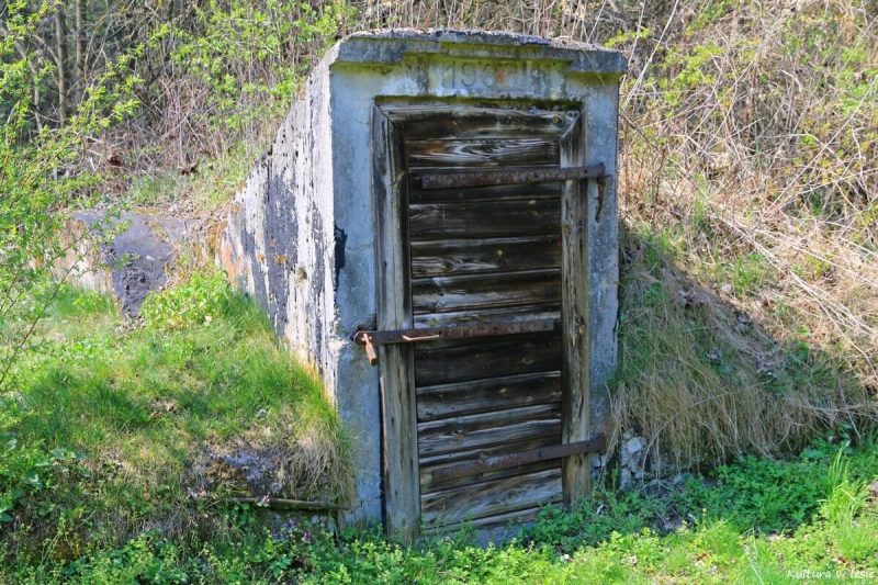 Piwnica przy dawnej gajówce