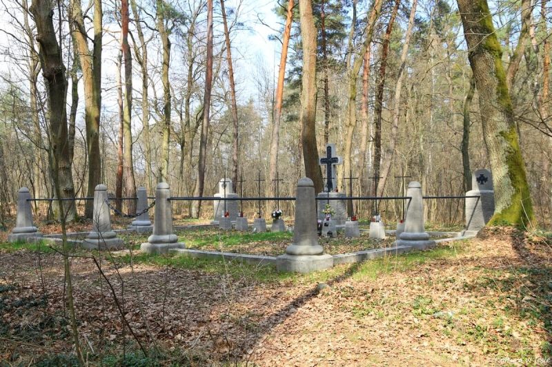 Ogólny widok cmentarza