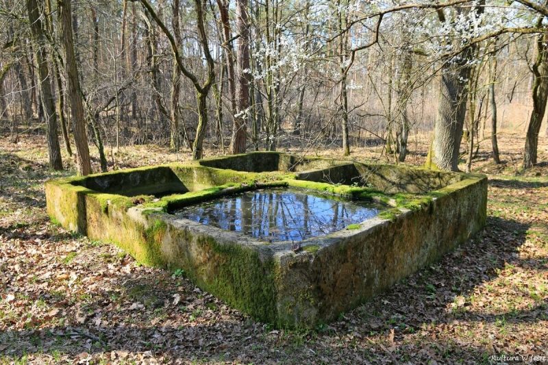 pozostałości zabudowy