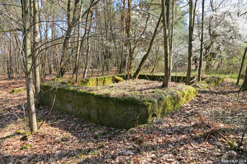 pozostałości zabudowy