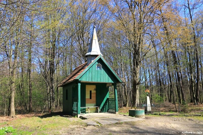 Ogólny widok kaplicy