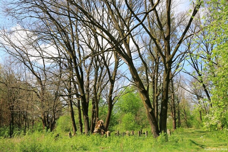Widok od północy